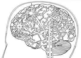 Brain Plasticity - Chronic Pain Visualisation Picture Drawing Template