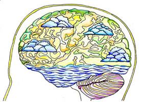 Brain Plasticity