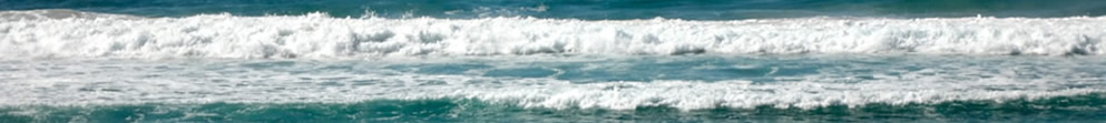 Gold Coast waves