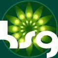 Holistic Services Group Australia Logo
