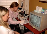 Live Blood  Test