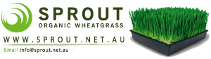 Sprout Organic Wheatgrass - International
