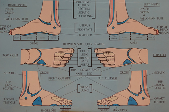 Foot Reflexology Chart 