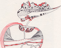 useNature Magazine