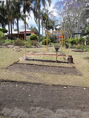 Organic Garden Bed