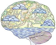 Brain without pain visualisation