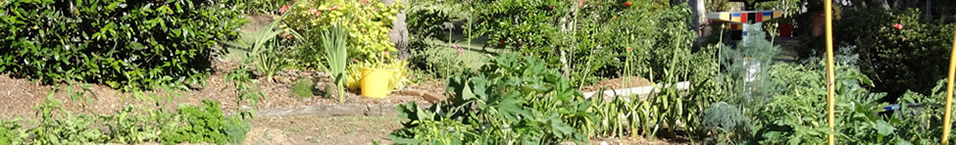Canungra Organic Garden