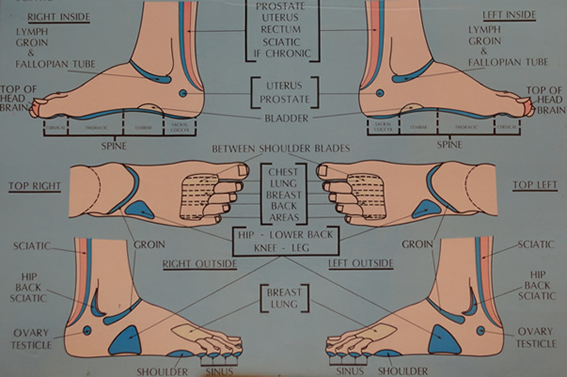 Ankle Reflexology Chart