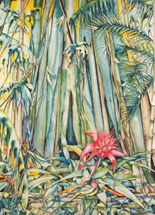 Among Friends - Qld Rainforest - Painting by Giselle - Australia