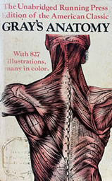 Gray's Anatomy - Second Hand Book